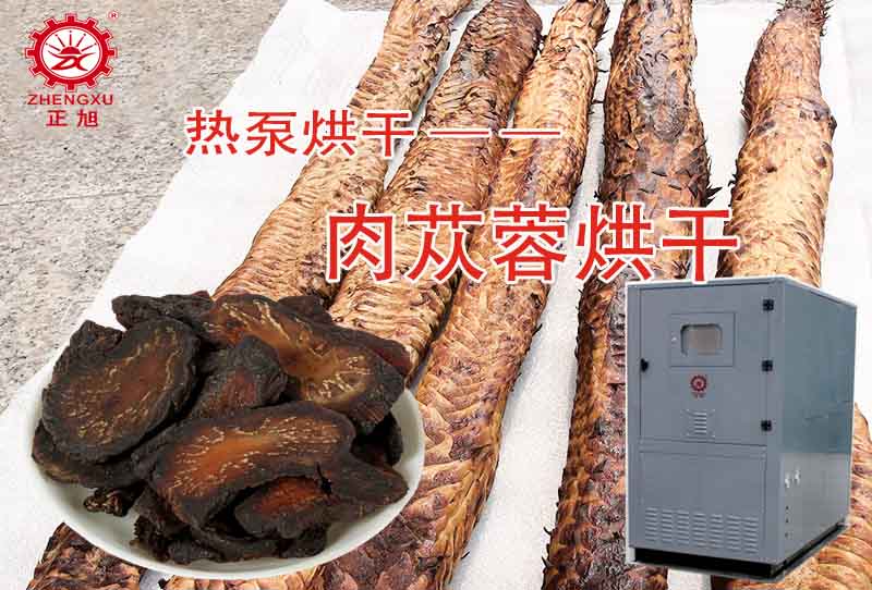 正旭肉蓯蓉?zé)岜煤娓晒に嚕ê娓蓽囟?、時(shí)間）