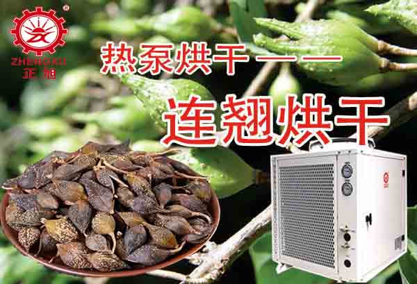 一噸連翹熱泵烘干需要多少錢？「熱泵烘干廠家」為你解答